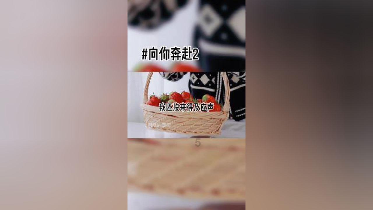 可爱宝宝大作战