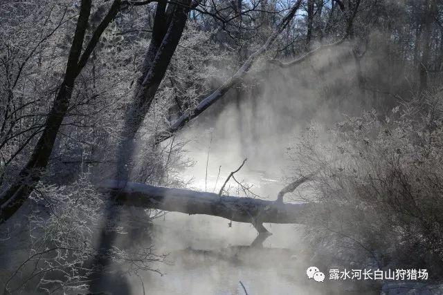 空中滑翔机